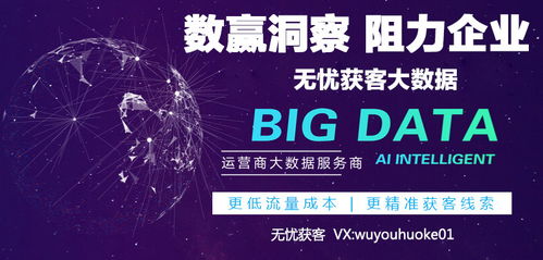 互聯網數據服務 數據整合與API的核心作用